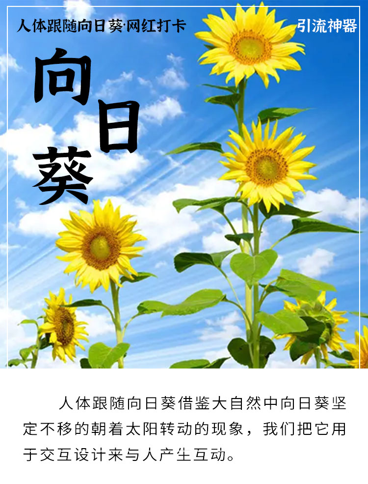 网红互动美陈人体跟谁向日葵 网红互动美陈人体跟谁向日葵